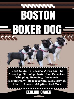 cover image of BOSTON BOXER DOG